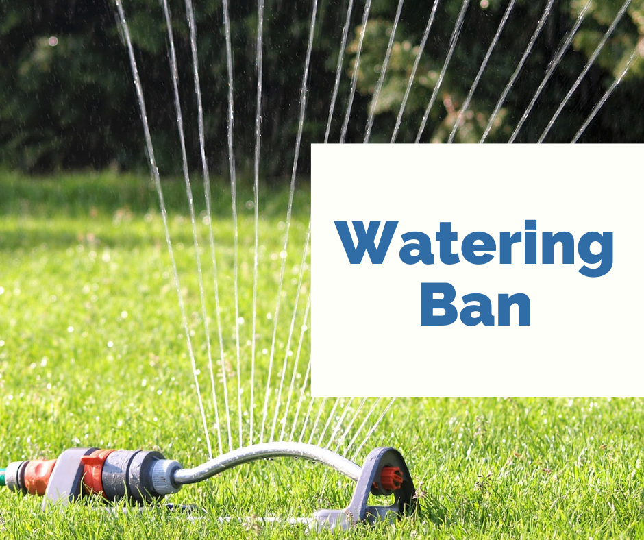 NewsFlash Watering Ban