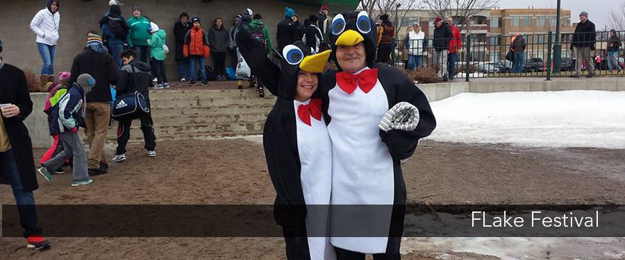 FLake Festival Webpage