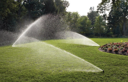 Screenshot 2026-02-13 120305